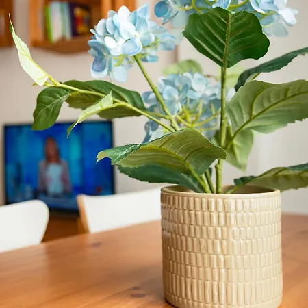 Appartement Home@porvenir Vft/se/03555 *